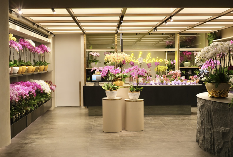 Contact Us - Delivery & Enquiries (KL) | Orchid Culture