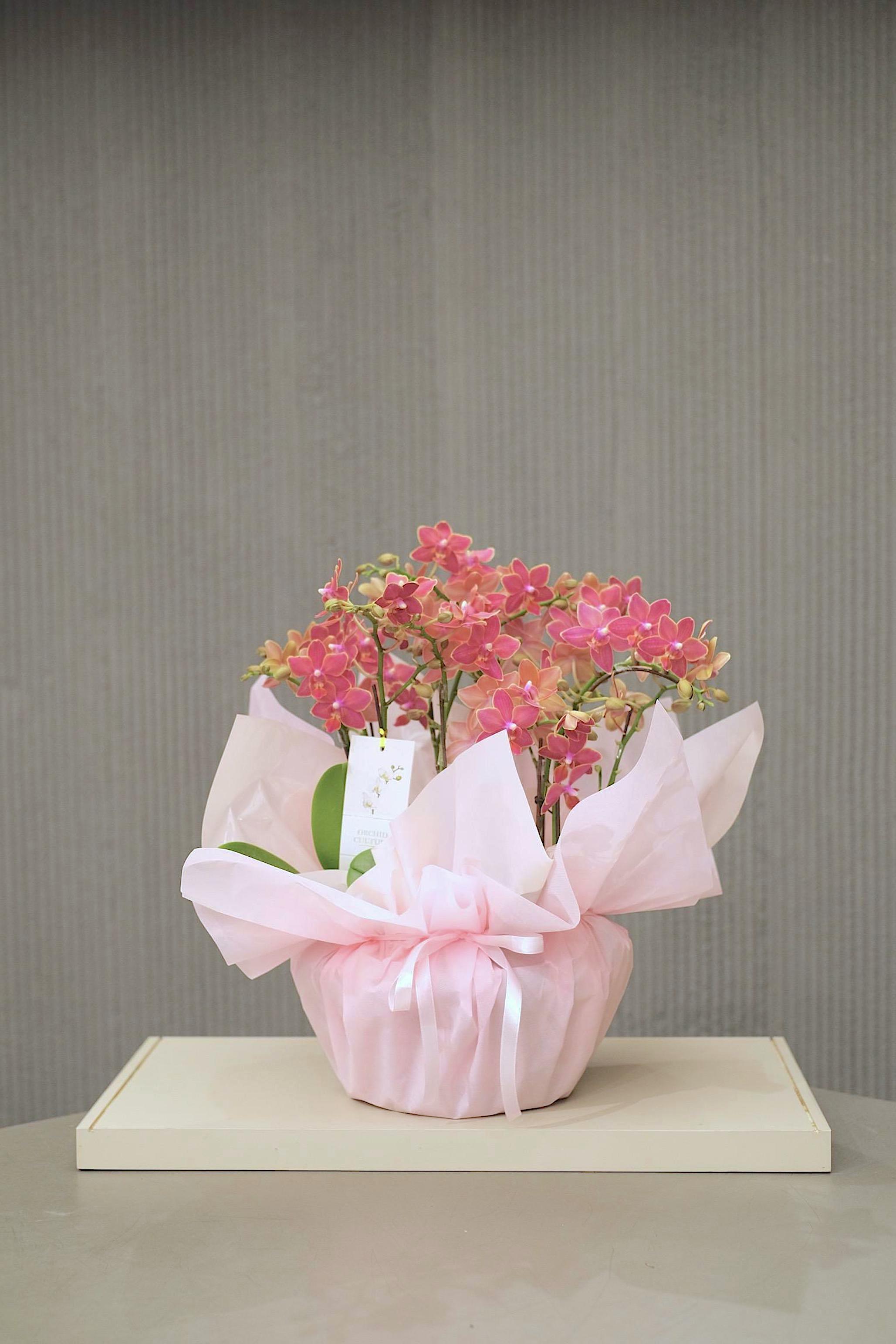 RED BOUQUET