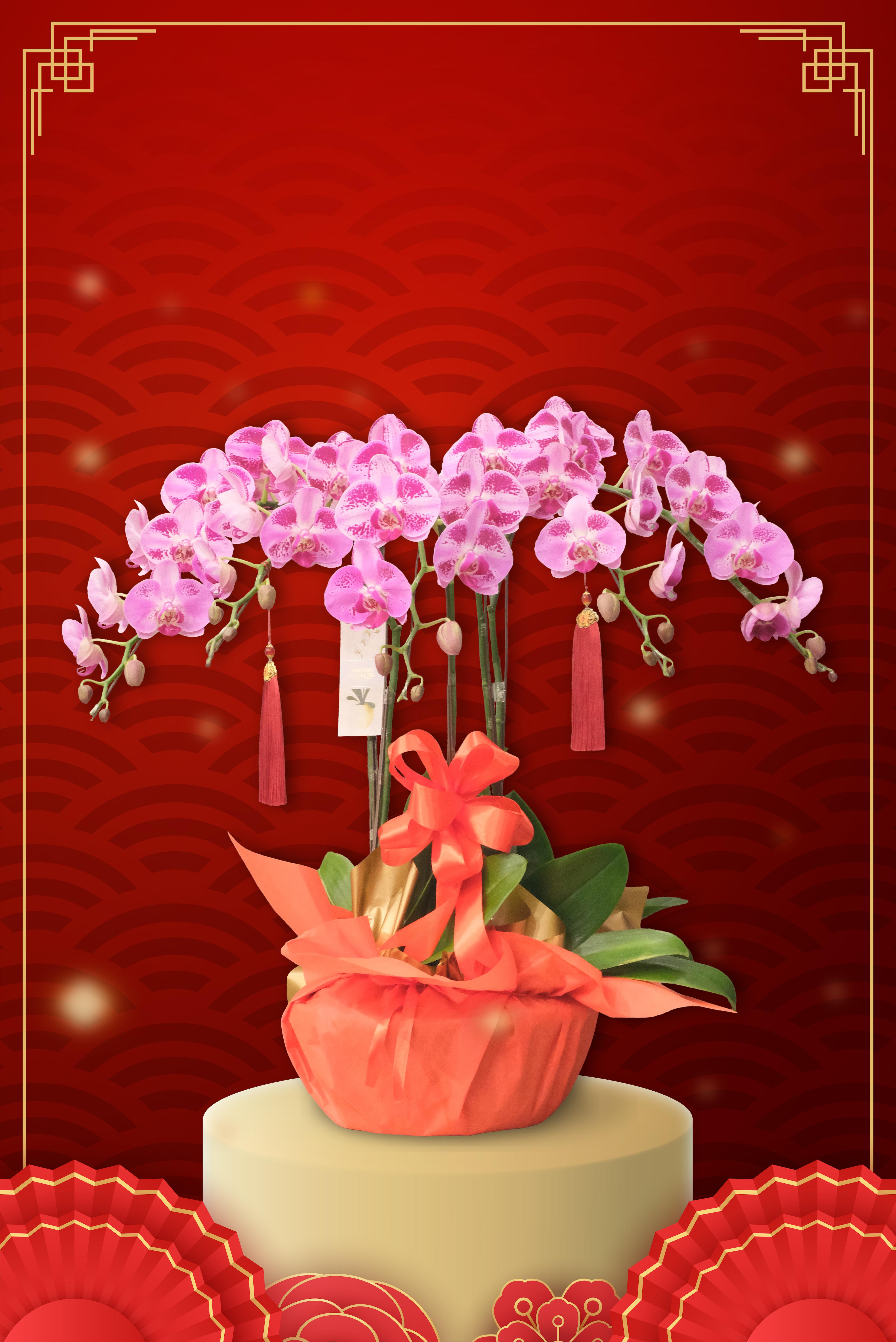 PROSPEROUS BLESSINGS