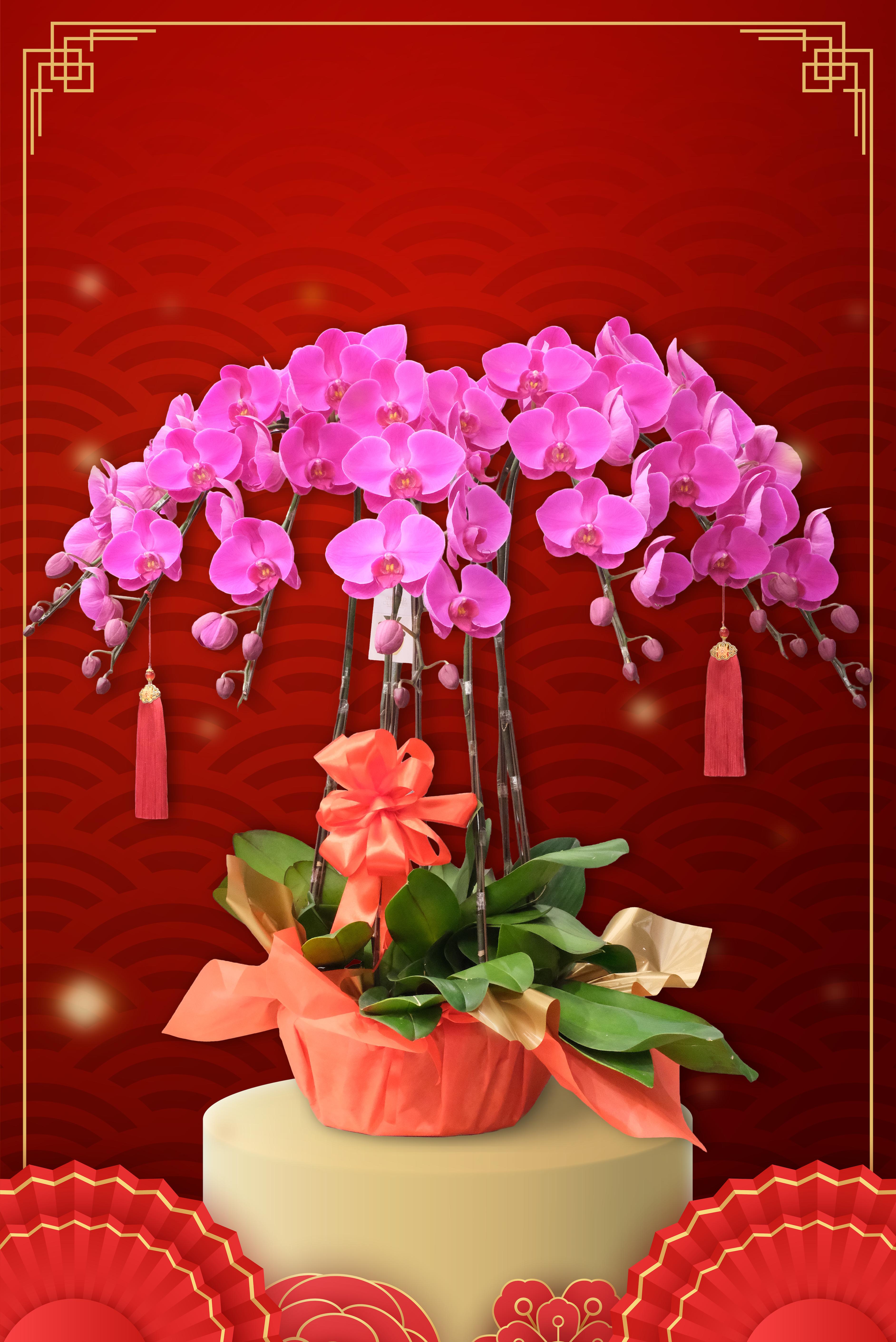 EXUBERANT PROSPERITY